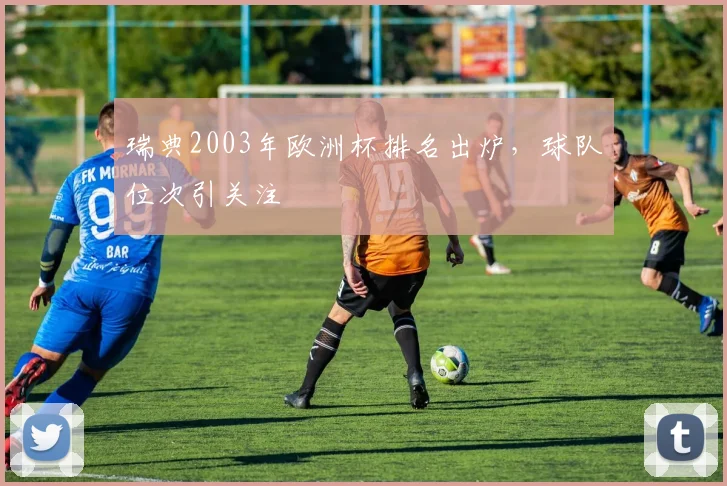 瑞典2003年欧洲杯排名出炉,球队位次引关注