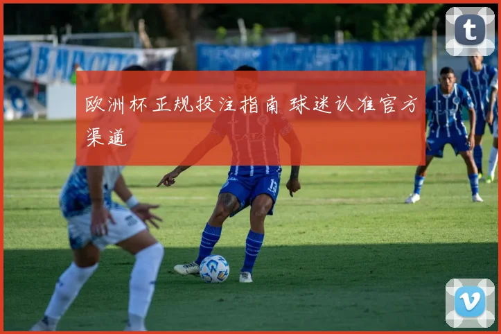 欧洲杯正规投注指南 球迷认准官方渠道