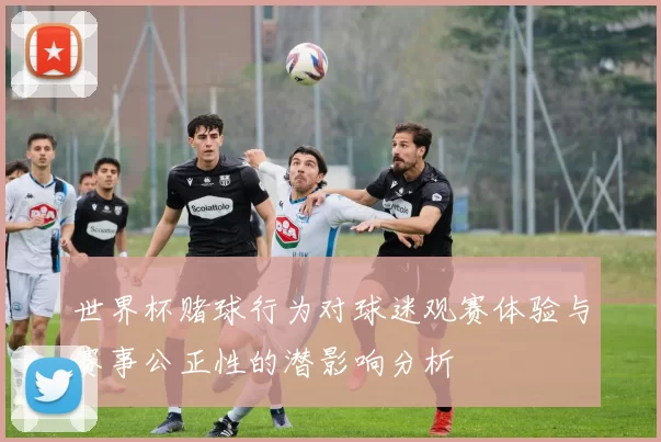 世界杯赌球行为对球迷观赛体验与赛事公正性的潜影响分析