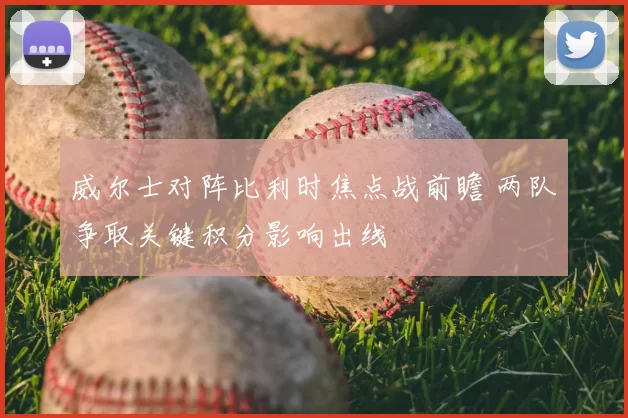 威尔士对阵比利时焦点战前瞻 两队争取关键积分影响出线